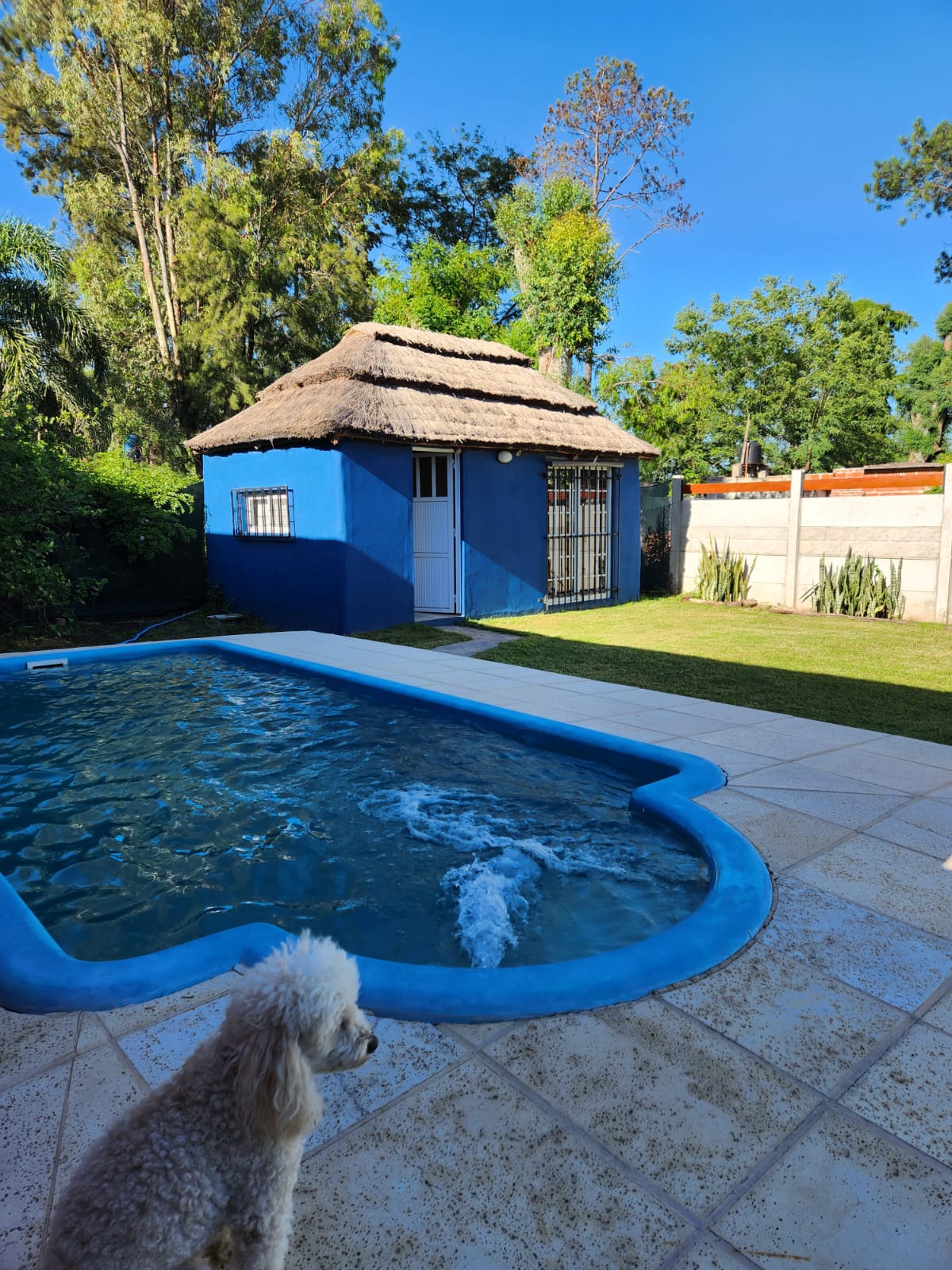 Cabañas premium con piscina